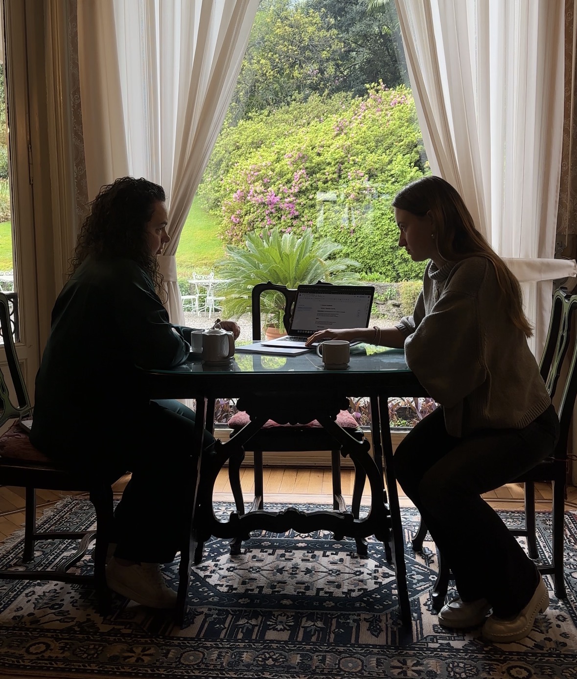 A collaborative working session around a laptop, overlooking the garden